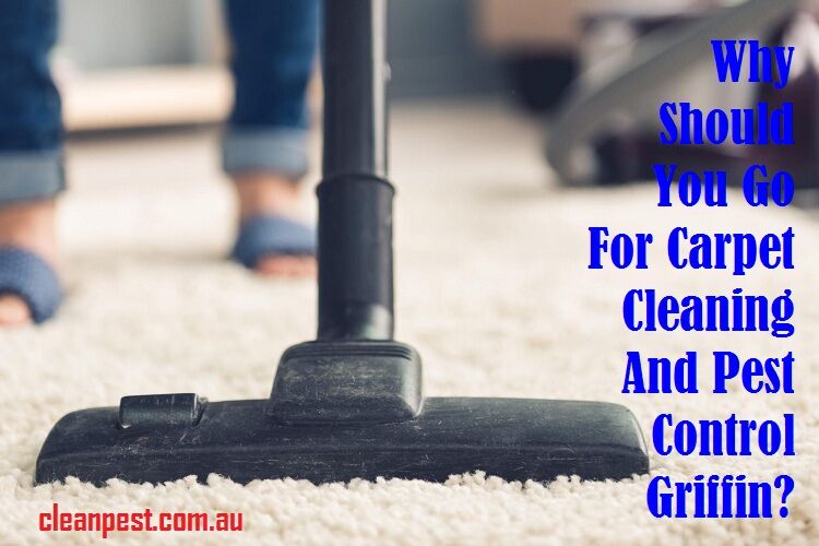 Carpet Cleaning And Pest Control Griffin