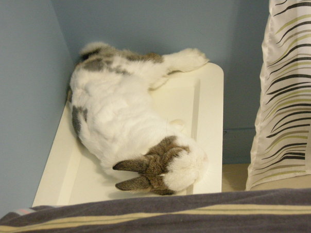 https://images.plurk.com/3132190_01bb3b21387d9bbd703dbeea6b21e0dc.jpg