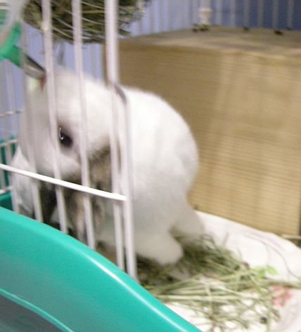 https://images.plurk.com/3132190_0a7cb4a49985122fd341e4cfd63a61dc.jpg