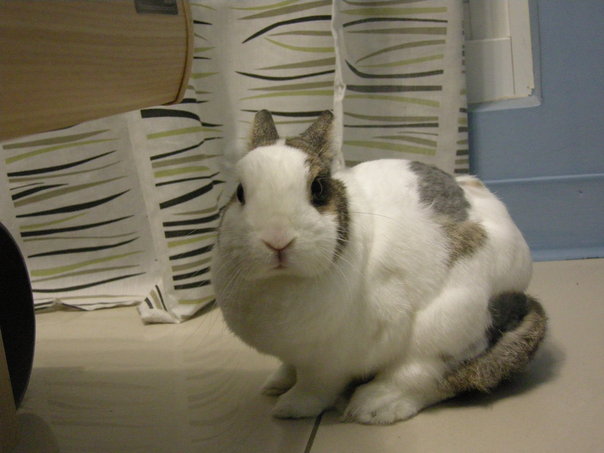 https://images.plurk.com/3132190_27aa75f0eb67b3df969c012a3930d258.jpg