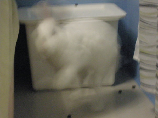 https://images.plurk.com/3132190_2aecb44171dada3ccb35e4840434e705.jpg