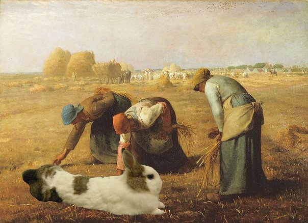 https://images.plurk.com/3132190_3f083b6cfc1ee450c5e7c904270fa696.jpg