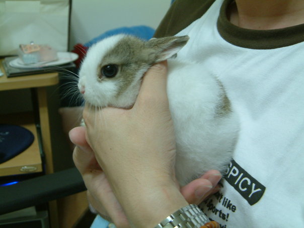 https://images.plurk.com/3132190_48cb6eb718eb4c80696922090955ed19.jpg