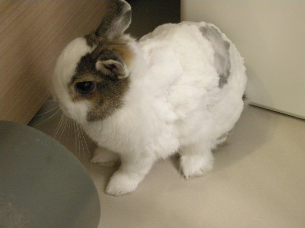 https://images.plurk.com/3132190_6d0a4854373f474649f6546a1bc53c7a.jpg