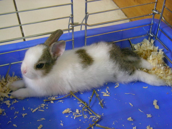 https://images.plurk.com/3132190_711545f99b45c2f4c8ca56c36981cb7e.jpg