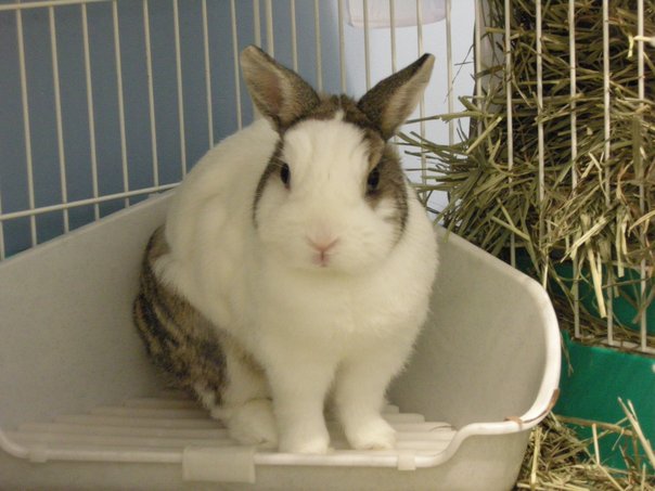 https://images.plurk.com/3132190_a1d8c2ac73cb38878717aa130e3e09f0.jpg