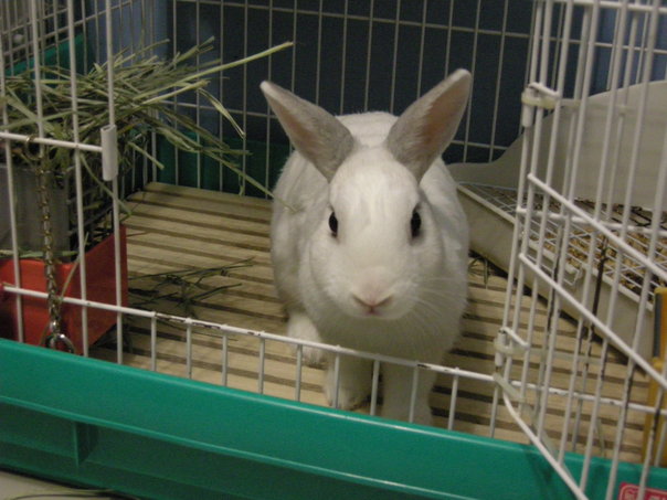 https://images.plurk.com/3132190_ac442f593d33a15149d58e39549ae60f.jpg