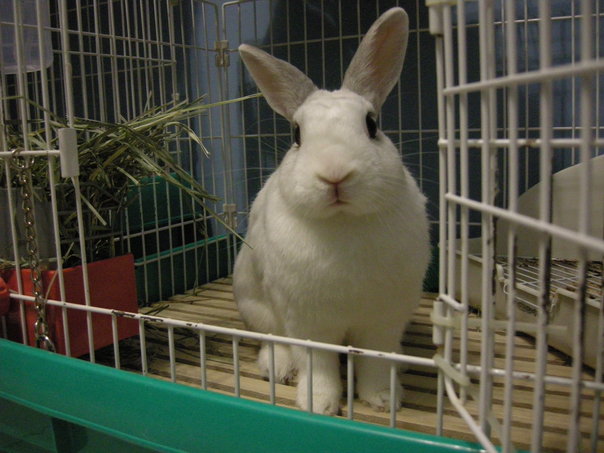 https://images.plurk.com/3132190_acf2e6b4535fe676219eb7d001886fac.jpg