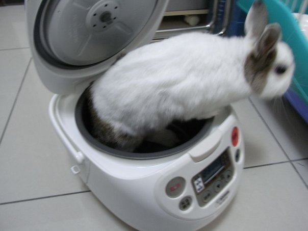 https://images.plurk.com/3132190_e783f6bce319faa5e159109ce0c243a0.jpg