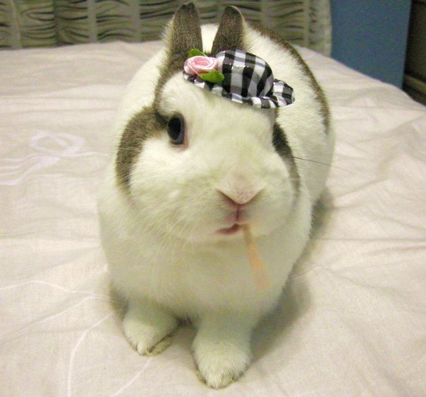 https://images.plurk.com/3132190_fa63d9e499b42eb03228adc7ab270423.jpg