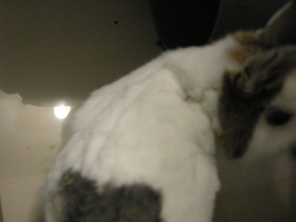https://images.plurk.com/3132190_fb653ac90a06d26bc016845abeea440a.jpg