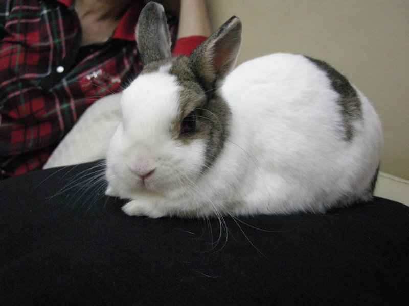 https://images.plurk.com/3Fg6NHUEHZcpeTTNtk0yv9.jpg