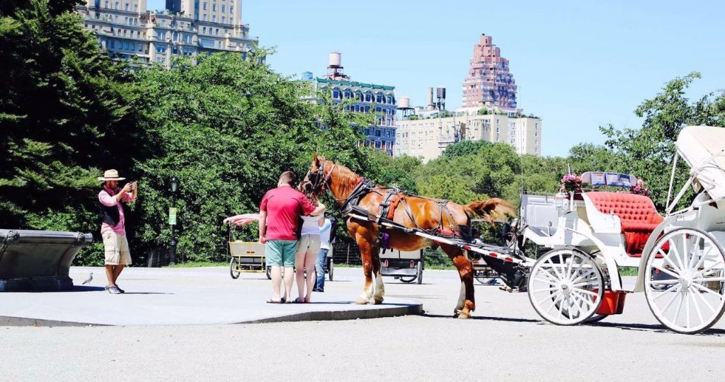 central park buggy rides