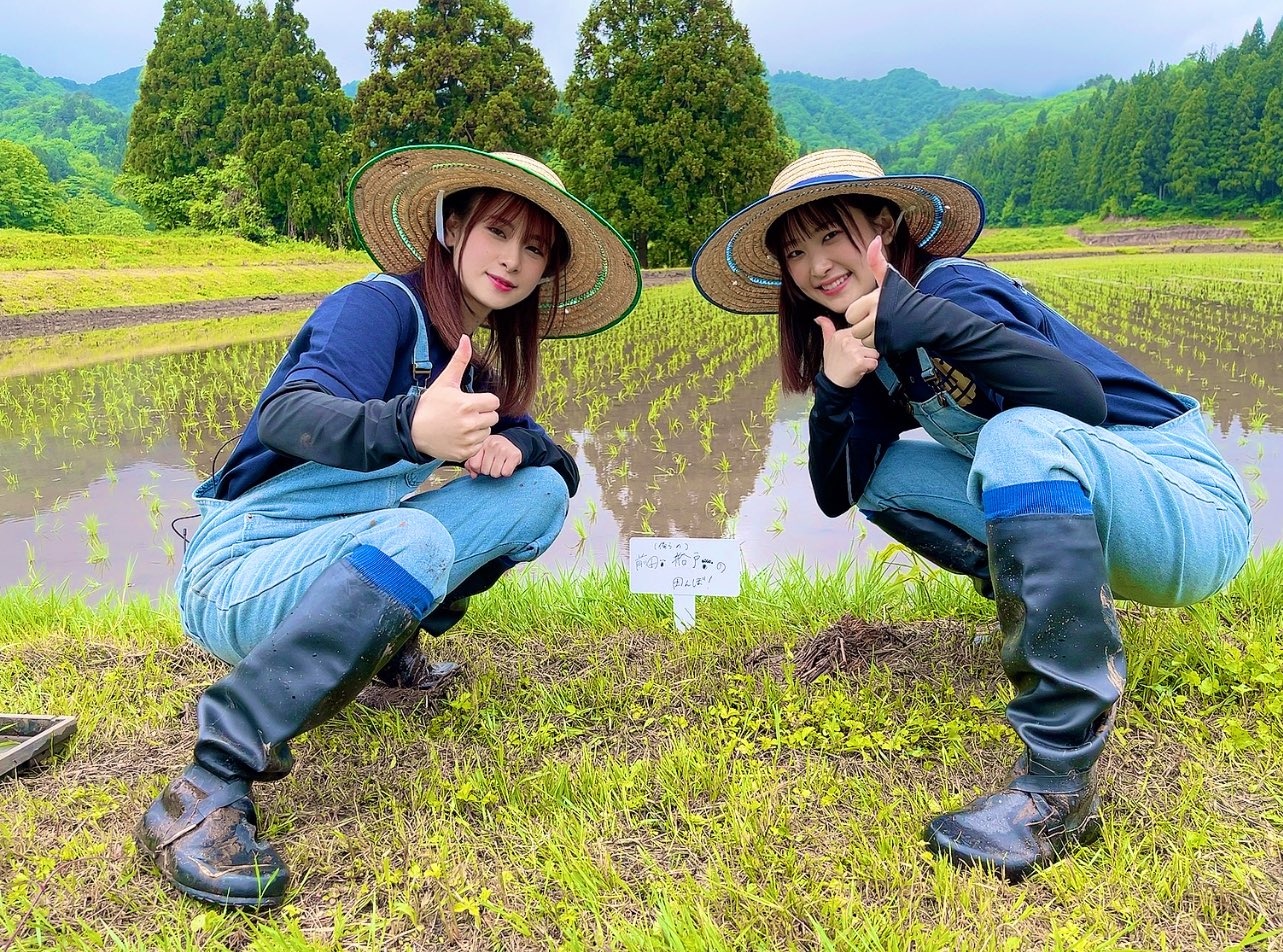 圖 前田佳織里生日快樂