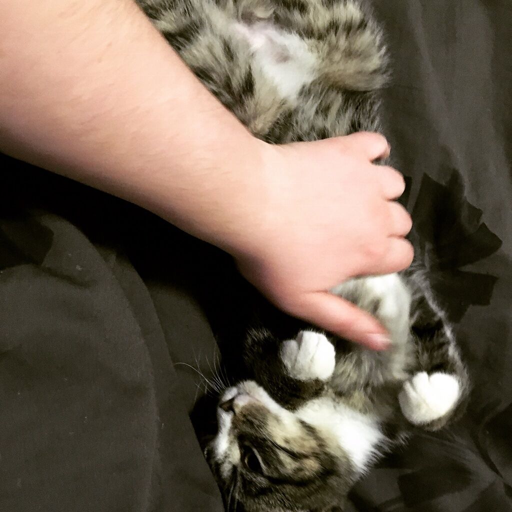but the delight Finn feels at belly rubs is not to be overlooked