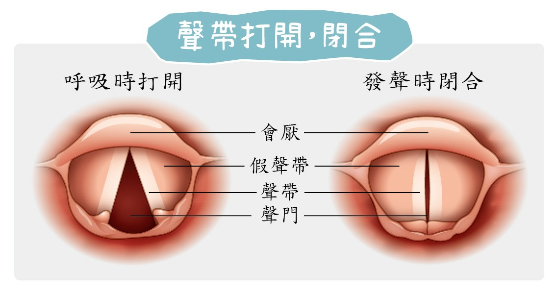 圖 健屋花那 聲帶寫真