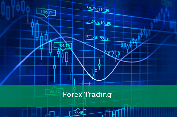 Mlmbook Forex Trading In India Mlm Book Is A Leading Mlm Amp - 