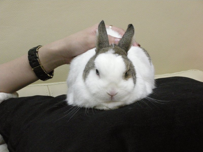 https://images.plurk.com/56DXVXqYHtyVlLUlNq8uRT.jpg