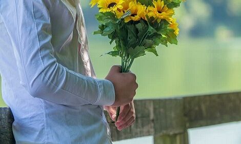 Beautiful Sunflowers