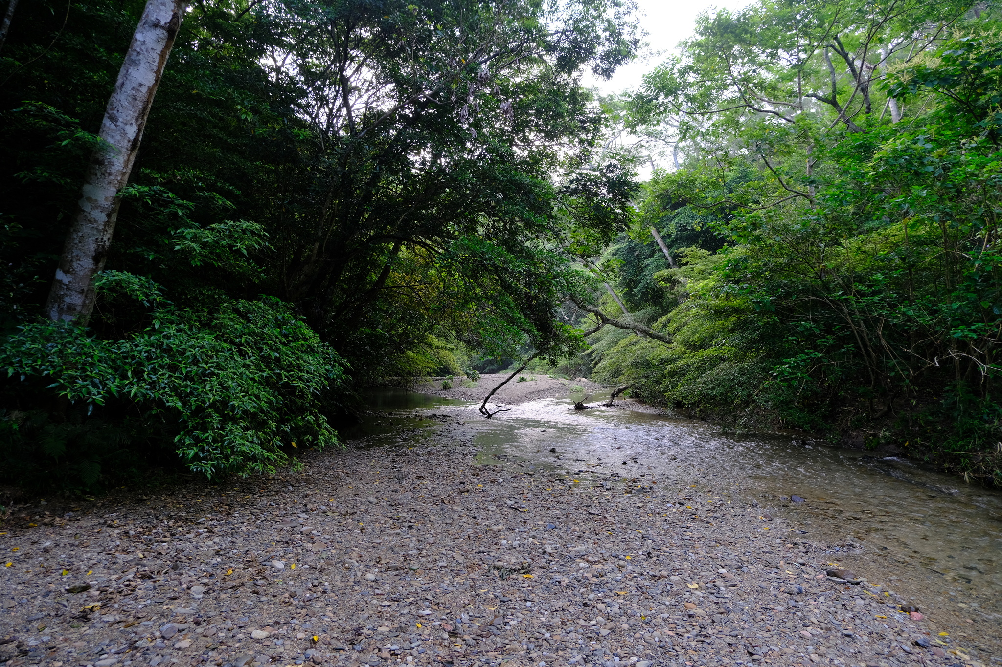 圖 沖繩北部‧國頭村生態旅遊