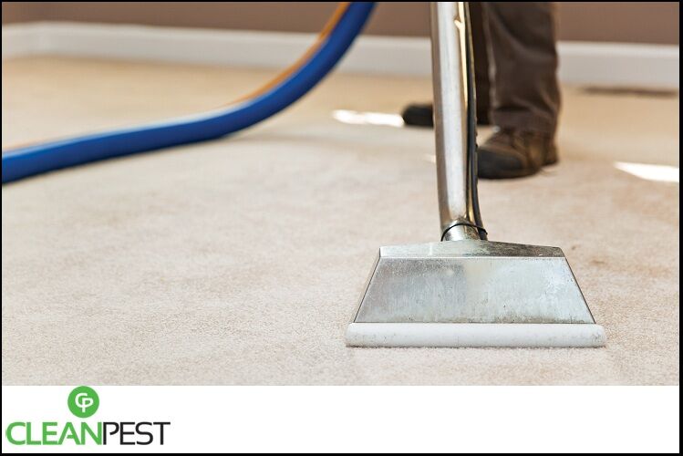 Carpet Cleaning Brisbane Northside