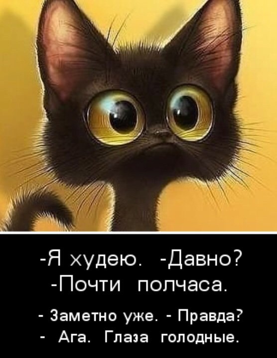 Приколы худеющим картинки, про