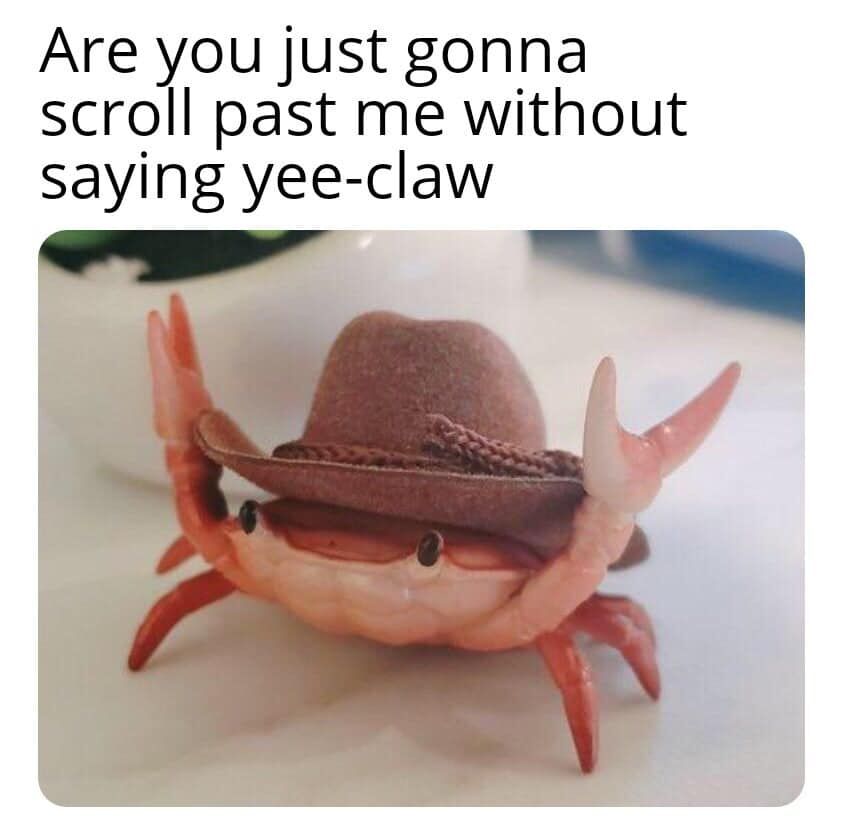 he stole your hat, man