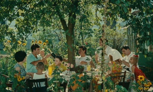 Ruby🪐 #movie #女性導演Le Bonheur (1965) dir. Agnès Varda - #od9lyn - Plurk
