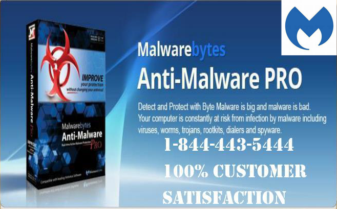 malwarebytes support phone