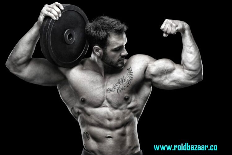 Buy Oral Steroids 