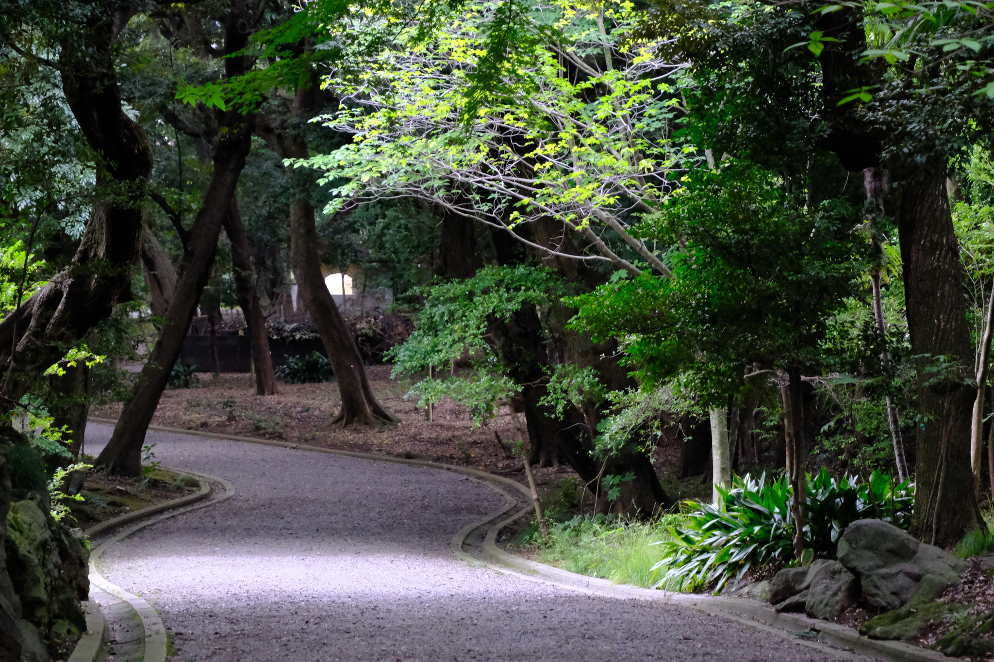 圖 東京三日遊