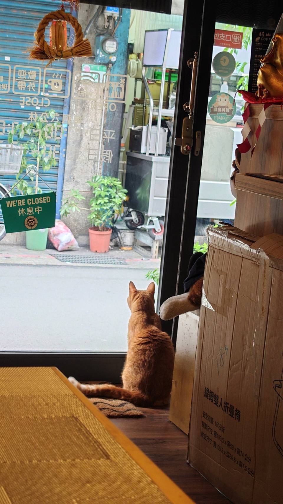 【食記】中山區小巷咖啡廳 貓藏 台北巷弄 台北咖啡廳 貓咪店