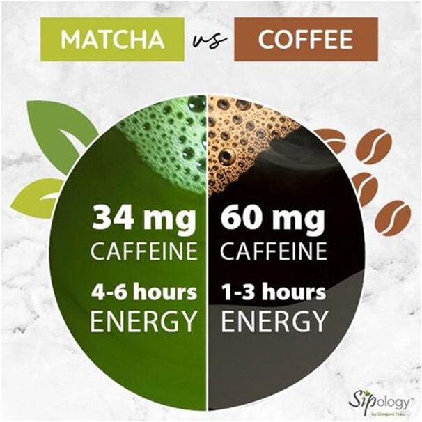 MATCHA vs GREEN TEA - What's the Difference? by Glo Power Tea