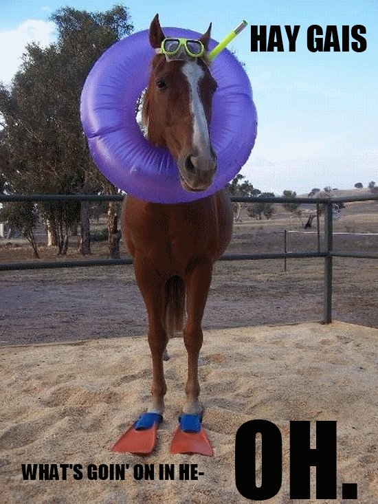 [PokeCommunity.com] VIP Forum Caption Contest -- September 2011!