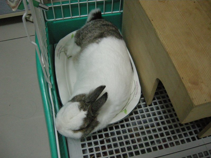 https://images.plurk.com/8fd0a6799dd0d69556257097f673f265.jpg