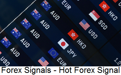 Hotforexsignal Forex Signals Hot Forex Signal Provider Most - 