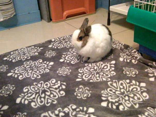 https://images.plurk.com/a7ef4b6d354256e71beed2f54b2ad255.jpg