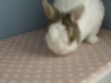 https://images.plurk.com/cf71f6c4d116d7e160d8893b19c0f307.jpg