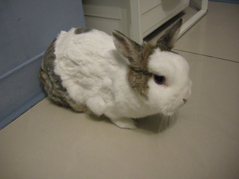 https://images.plurk.com/d8Pc-1hzzCDCiDVj1FXhXtQ7K3W.jpg