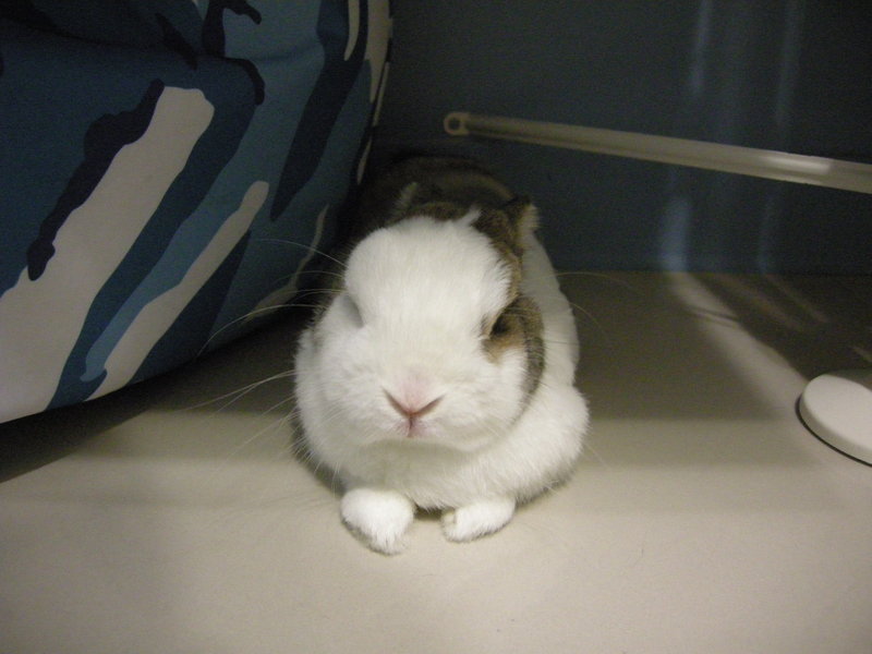 https://images.plurk.com/d8Pc-3e7iM1NXLNGg3NmfW3nWoL.jpg