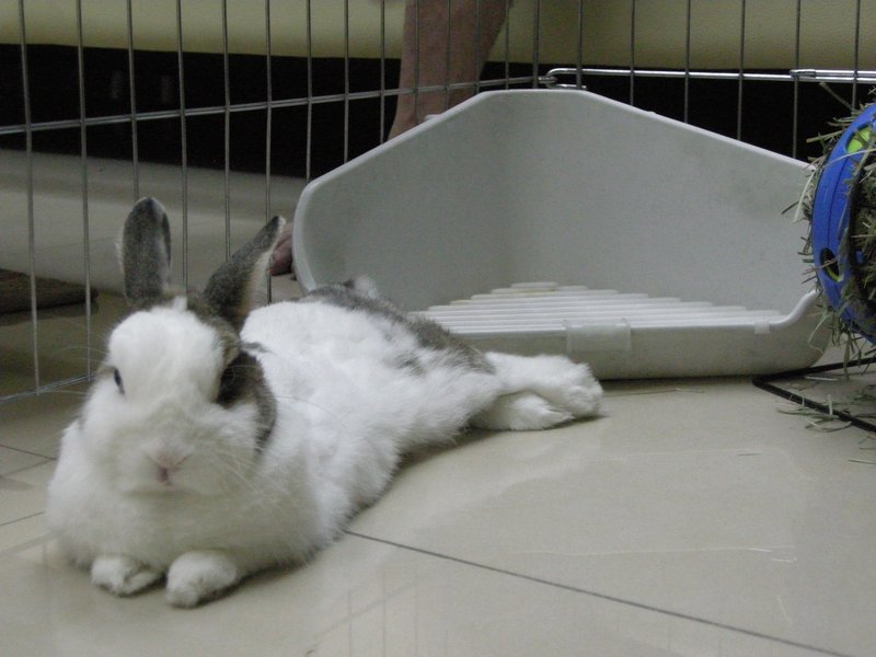 https://images.plurk.com/d8Pc-3miImERd7a5aAiUfy6P4bP.jpg