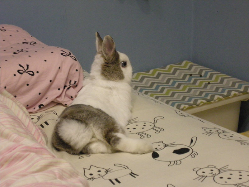 https://images.plurk.com/d8Pc-4OWp51jJ4DxdElV0fvEiAq.jpg