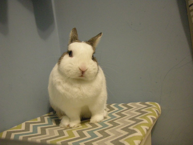 https://images.plurk.com/d8Pc-5ce4fDGnVhr2cSoMVlsxKh.jpg