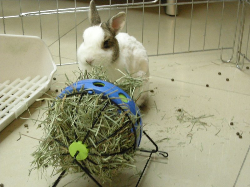 https://images.plurk.com/d8Pc-H0hNMYlpQf89OFfkuz0Nf.jpg