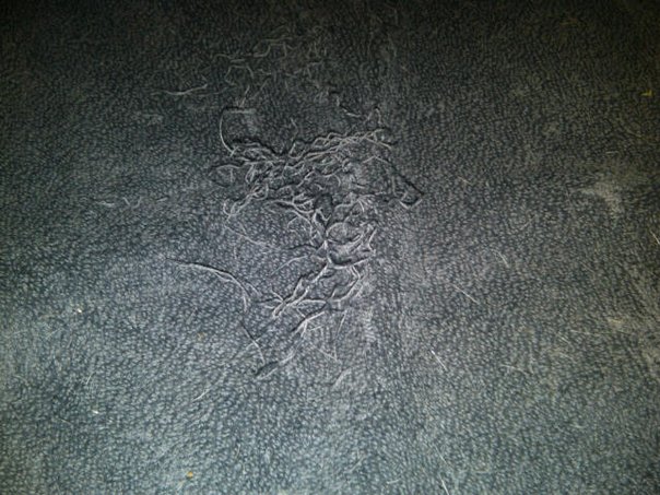 https://images.plurk.com/e67f954ba1d132a213d43035c6506cdb.jpg