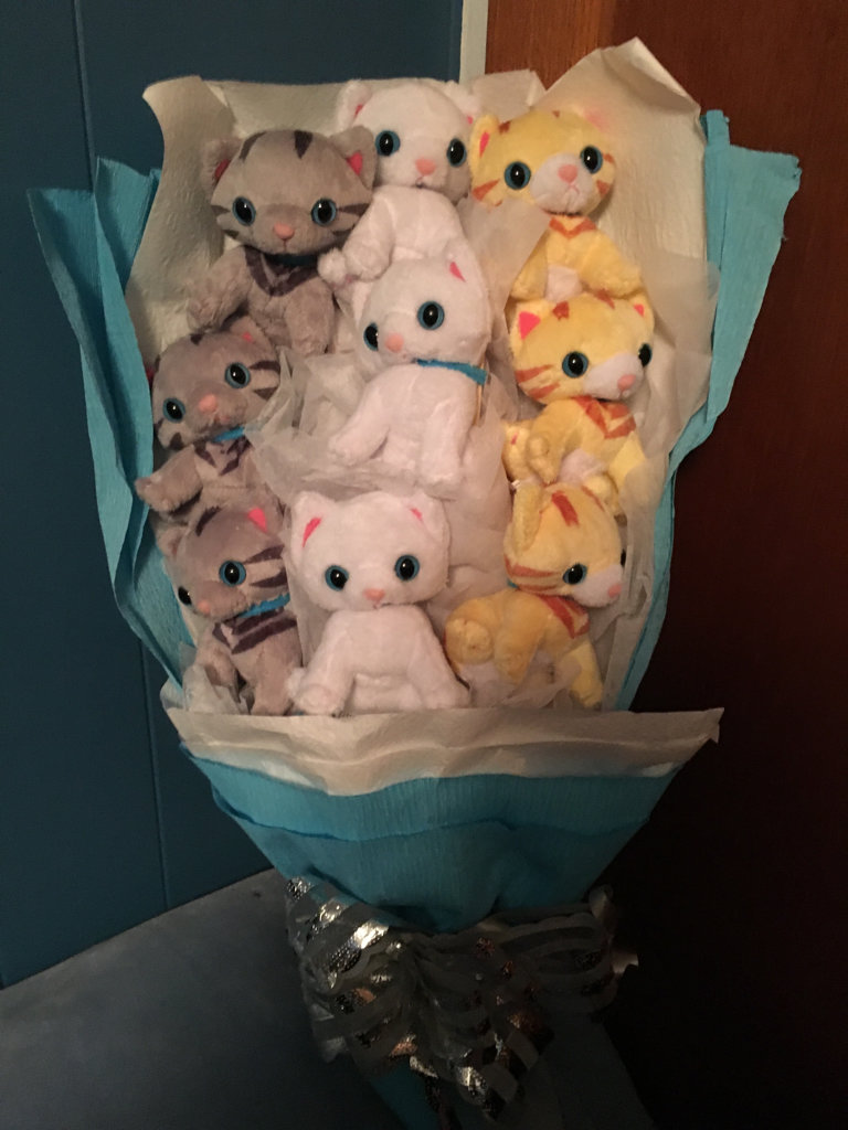 Akira - Look at how freaking cute this is!!!! A BOUQUET OF KITTENS ...