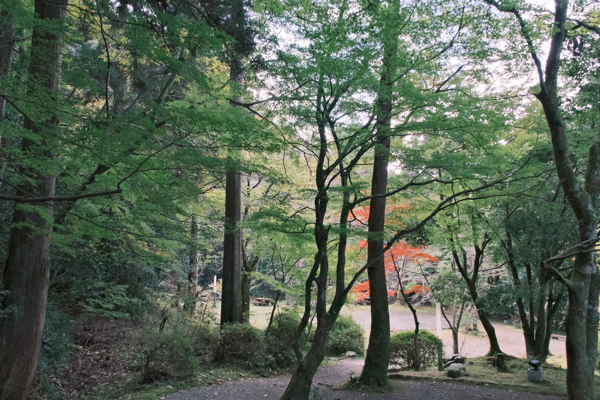 圖 石川6日獨旅