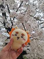 https://images.plurk.com/106kaQ0XTRkLwF6ja0LdfA.jpg