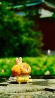 https://images.plurk.com/109CxQRJM9KeIU11COv19i.jpg