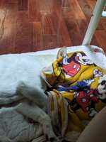 https://images.plurk.com/109KVFIPGlf6oH7y4U9tap.jpg